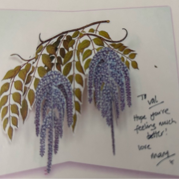 Pop-up card w/envelope - WISTERIA - Picture 5 of 5